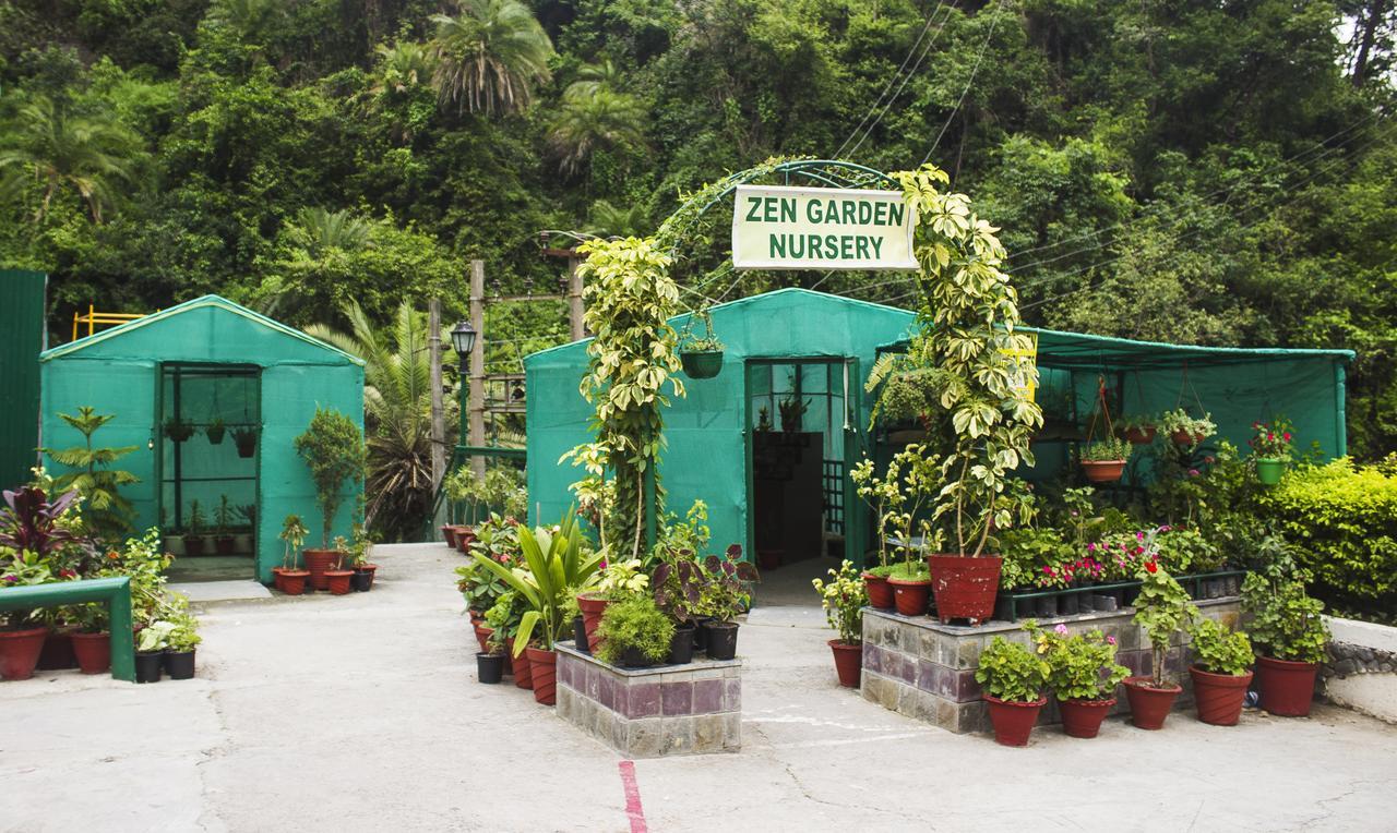 Savoy Greens Hotel Kasauli Esterno foto